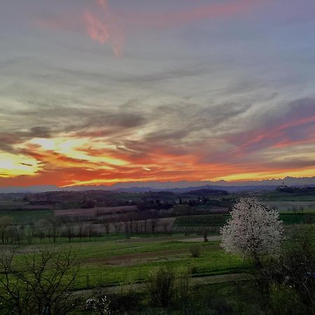 Casapaletti Country House Alfiano Natta Εξωτερικό φωτογραφία