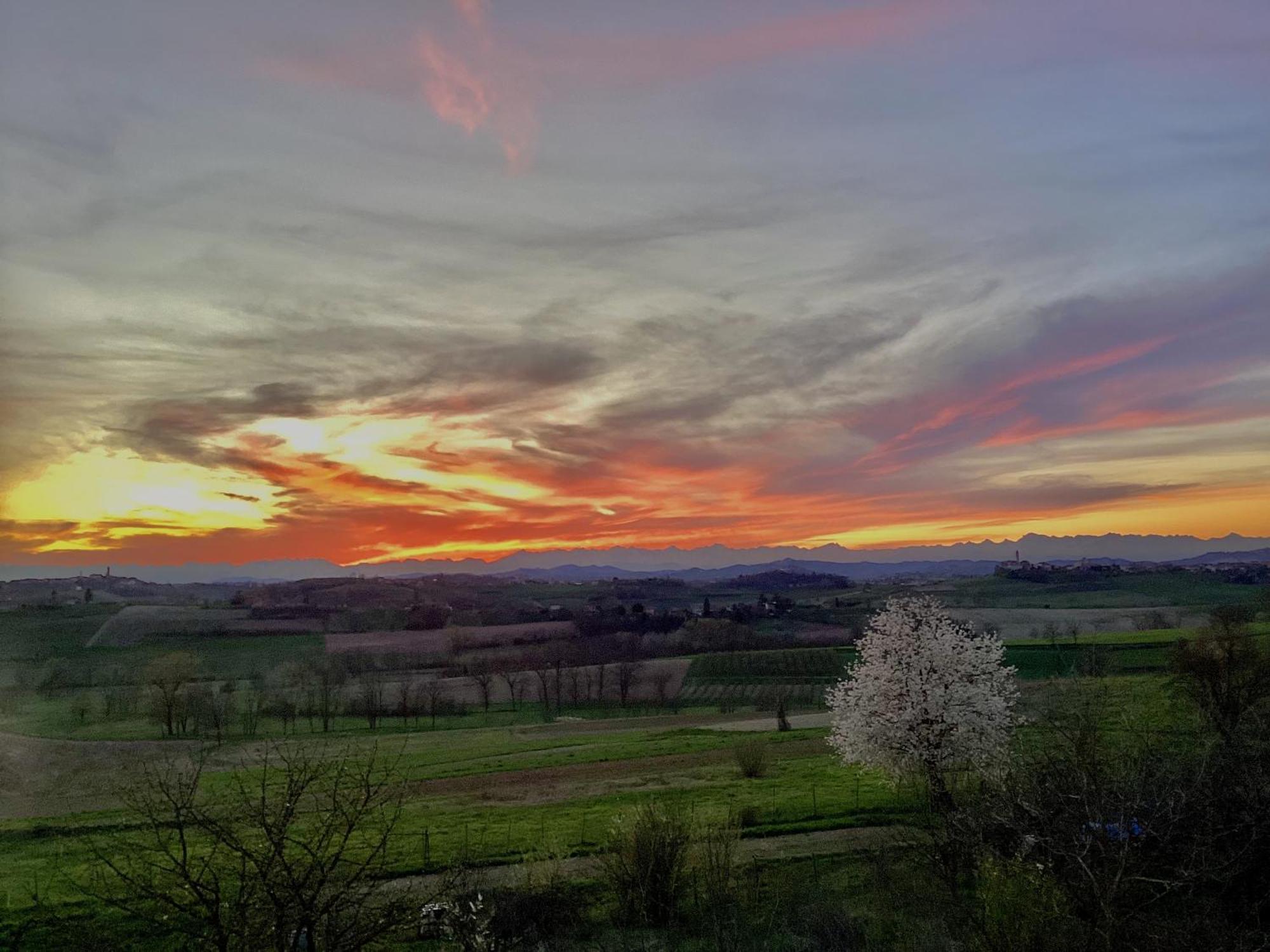Casapaletti Country House Alfiano Natta Εξωτερικό φωτογραφία